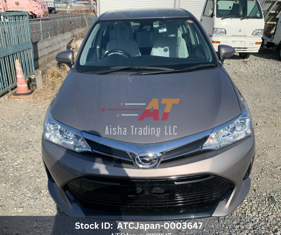 2019 Toyota Corolla Axio